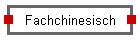 Fachchinesisch